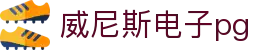 威尼斯电子pg